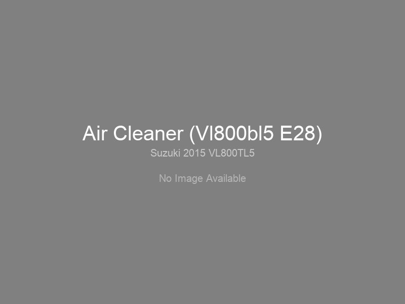 Air Cleaner (Vl800bl5 E28)