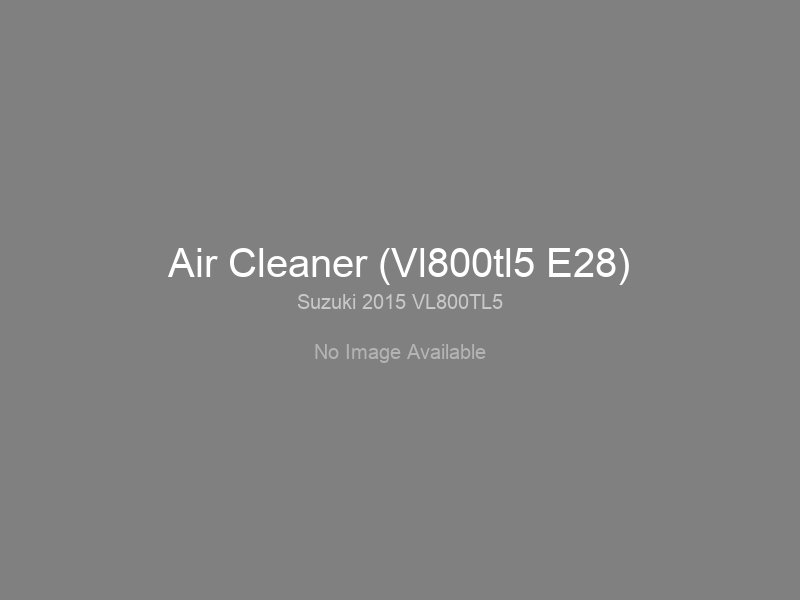 Air Cleaner (Vl800tl5 E28)