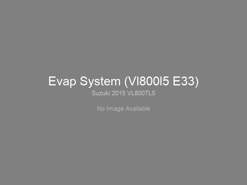 Evap System (Vl800l5 E33)