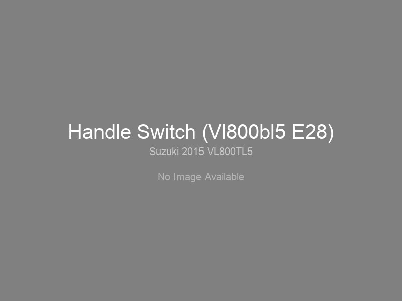 Handle Switch (Vl800bl5 E28)