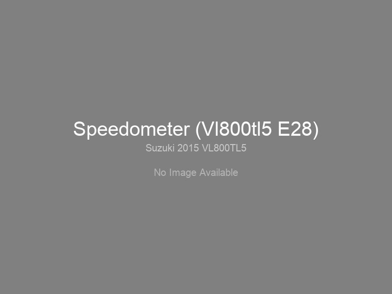 Speedometer (Vl800tl5 E28)