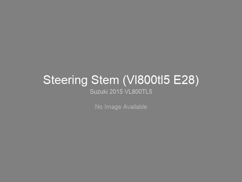 Steering Stem (Vl800tl5 E28)