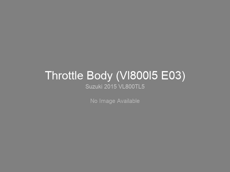 Throttle Body (Vl800l5 E03)
