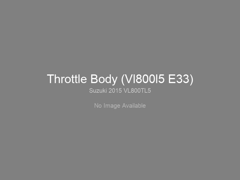 Throttle Body (Vl800l5 E33)