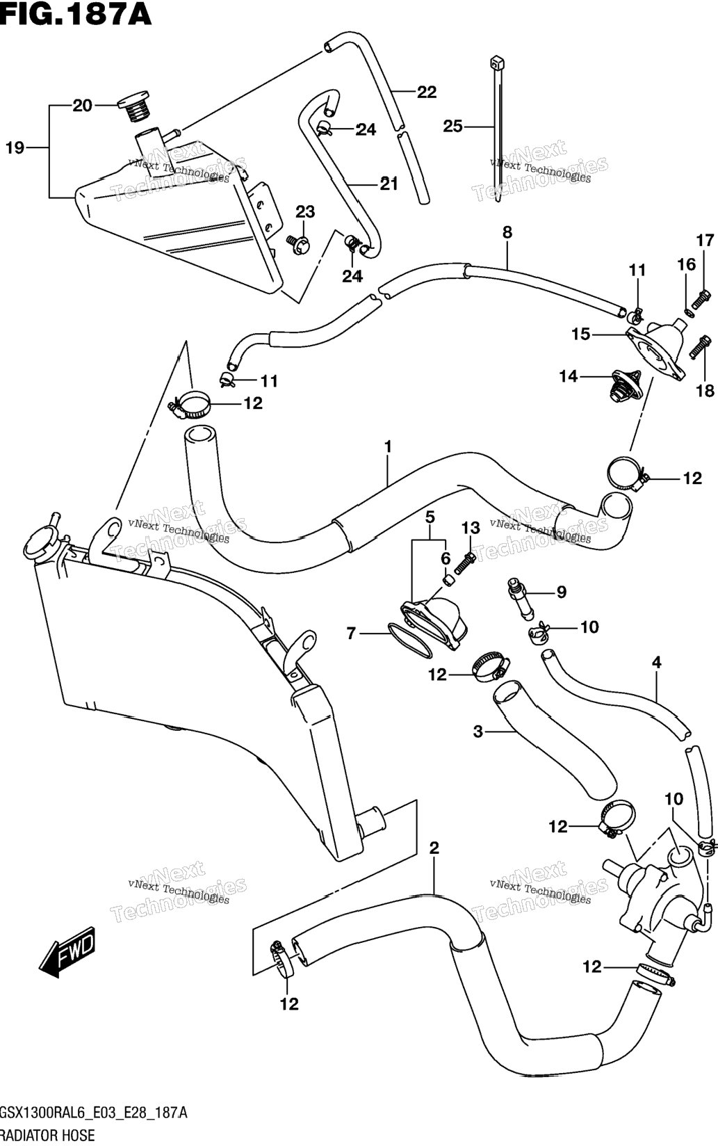 Radiator Hose