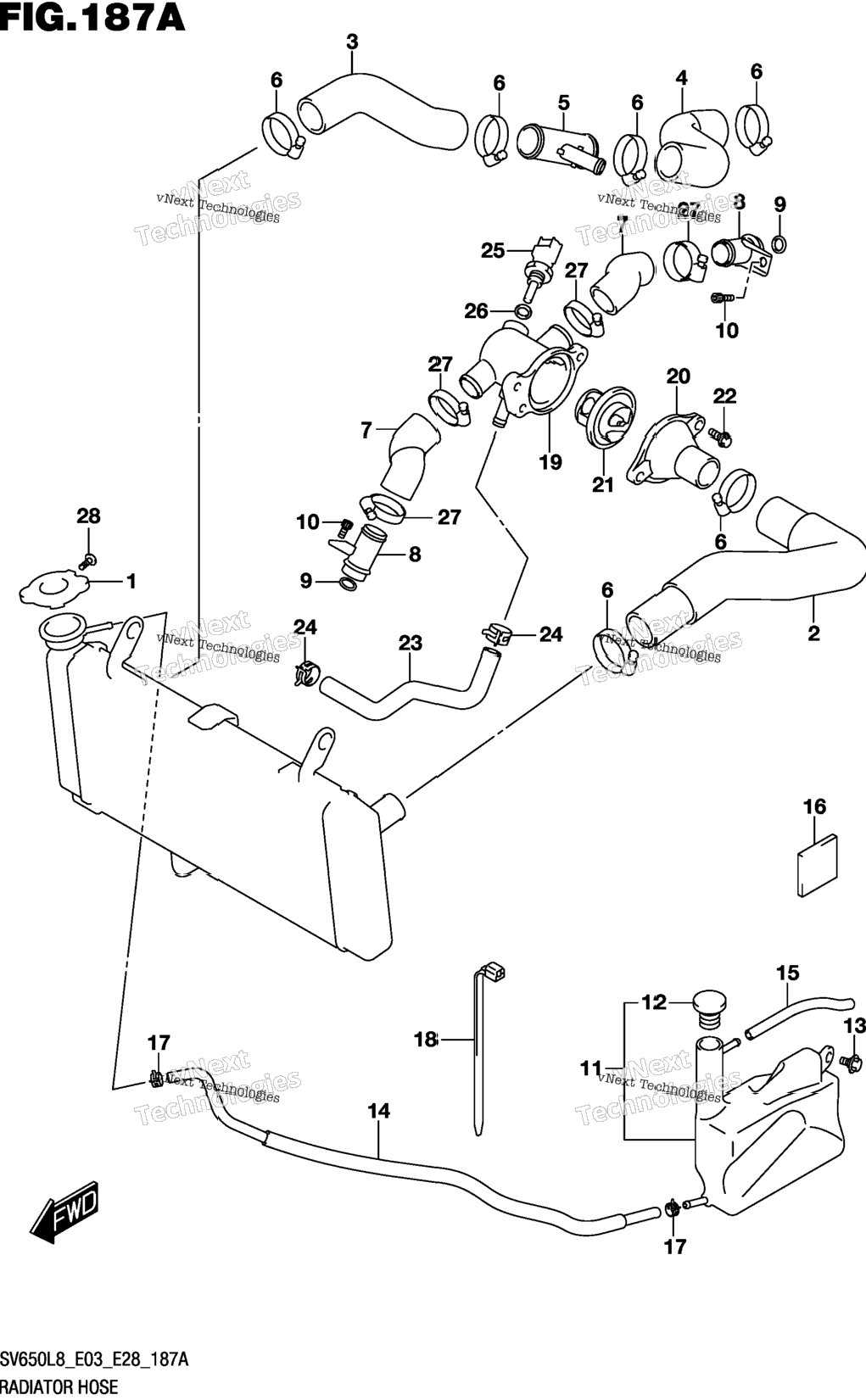 Radiator Hose