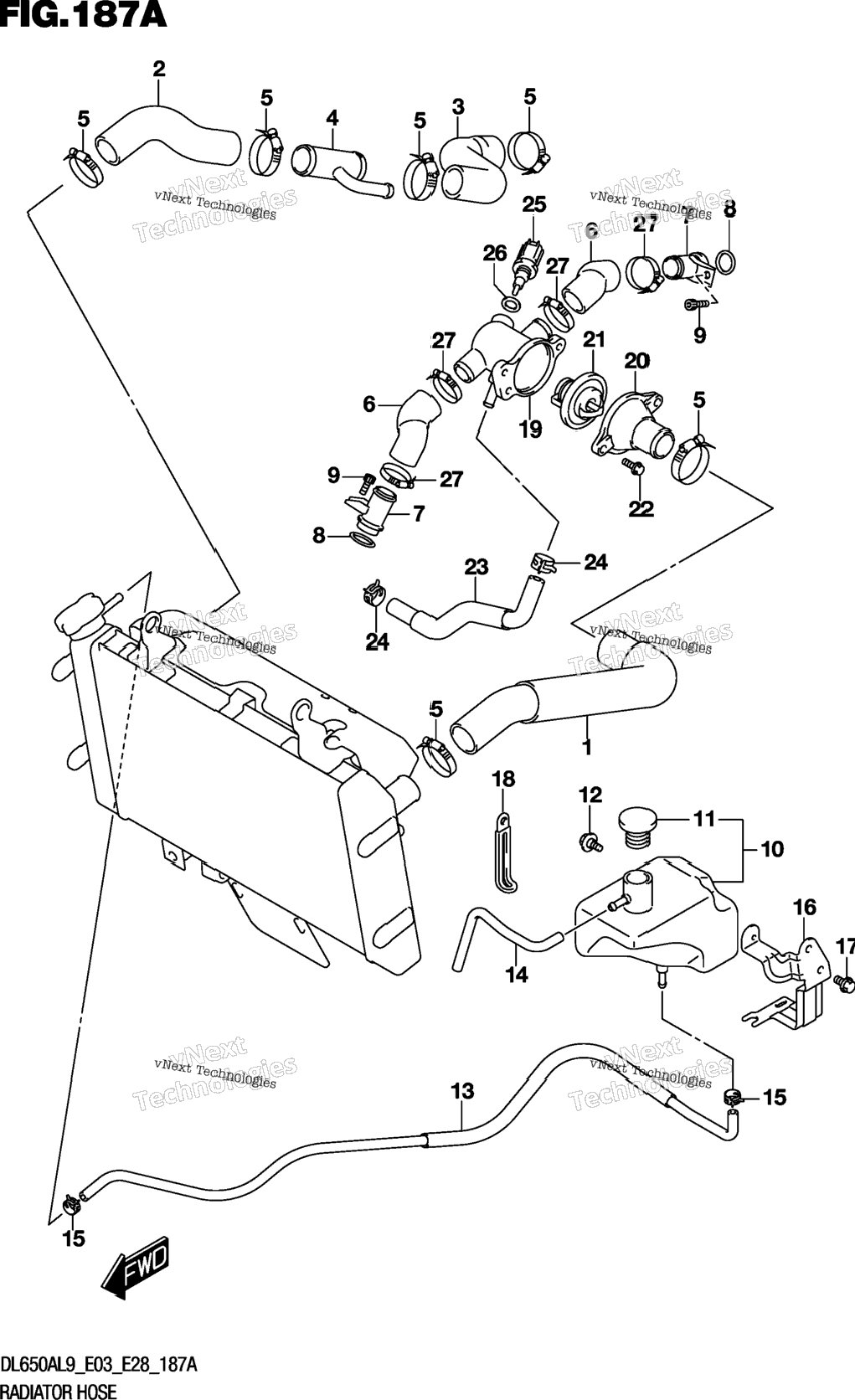 Radiator Hose