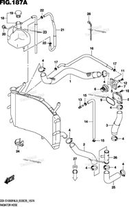 Radiator Hose