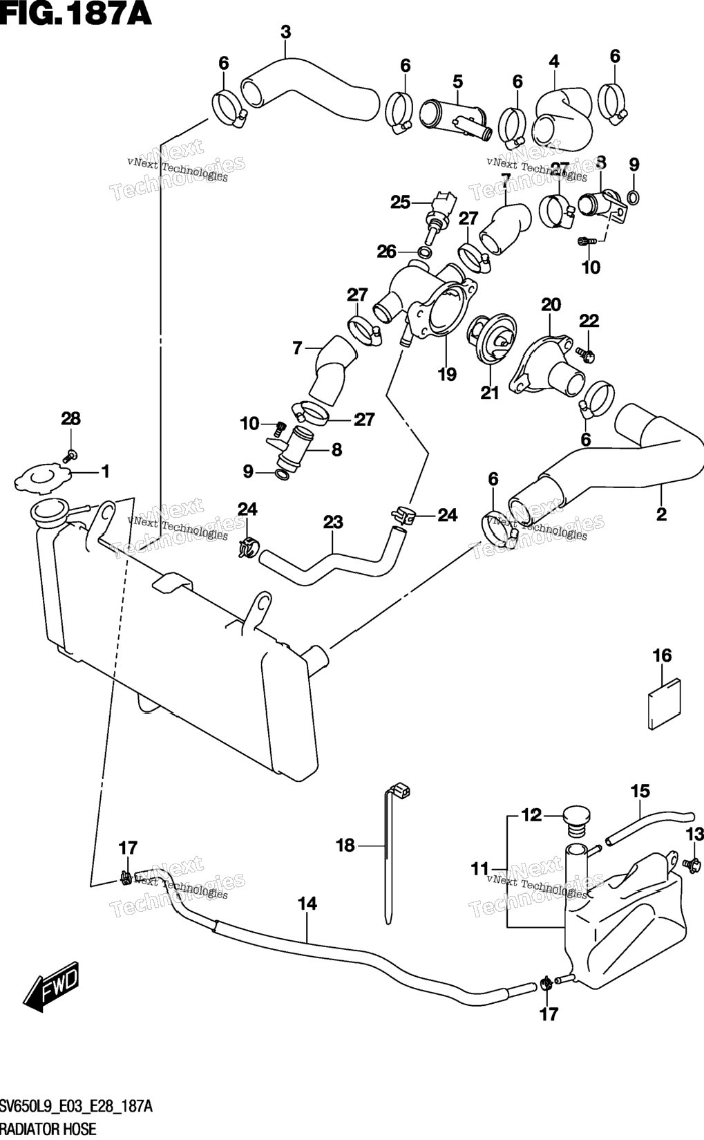 Radiator Hose