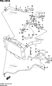 Radiator Hose