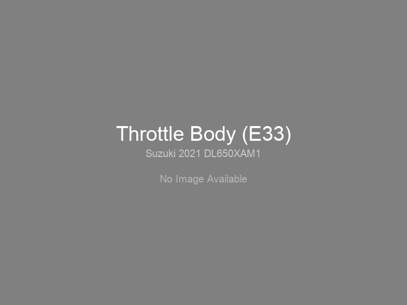 Throttle Body (E33)