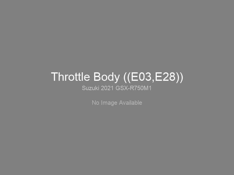 Throttle Body ((E03,E28))
