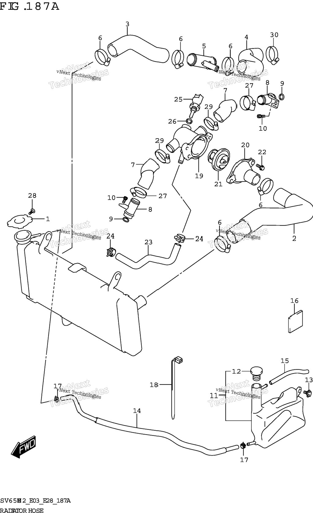 Radiator Hose