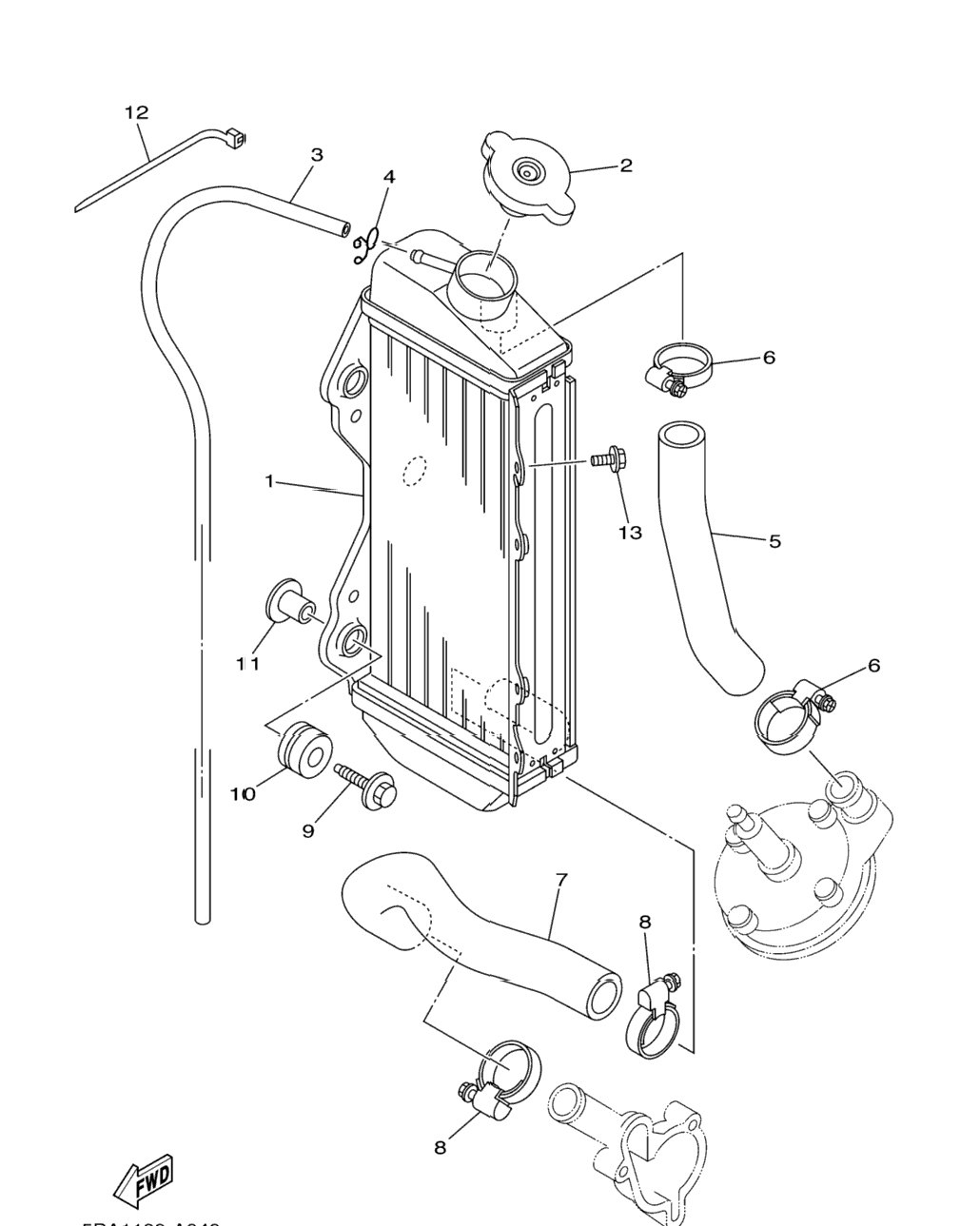 Radiator Hose