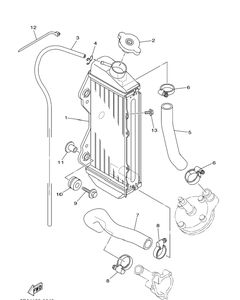 Radiator Hose