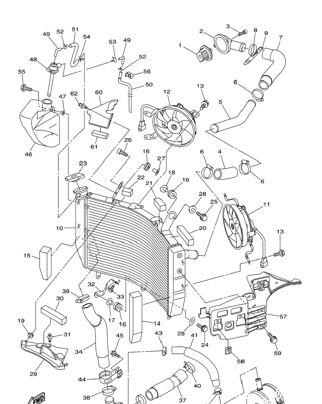 Radiator Hose