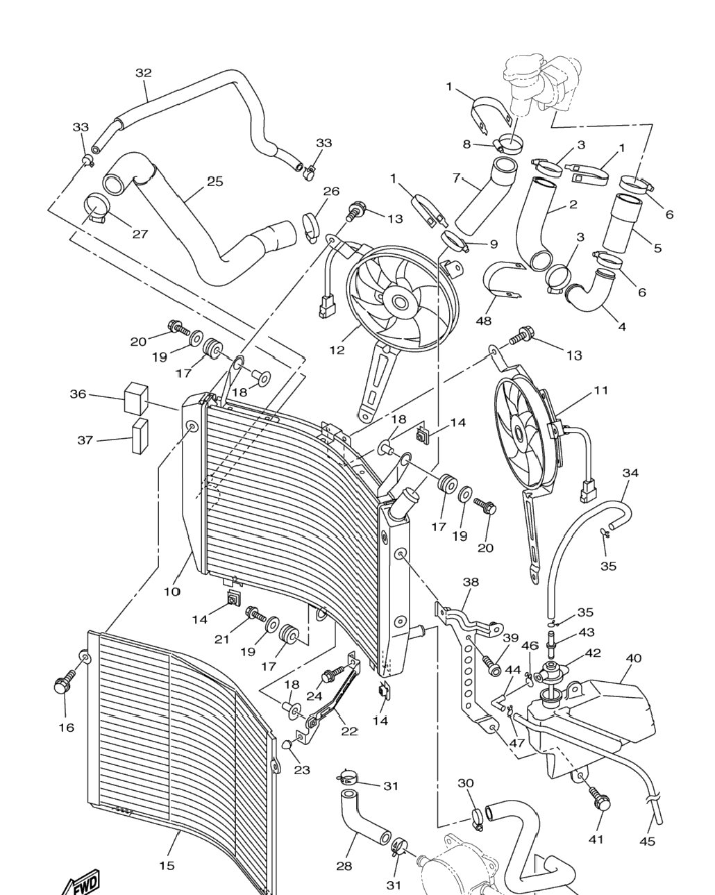 Radiator Hose