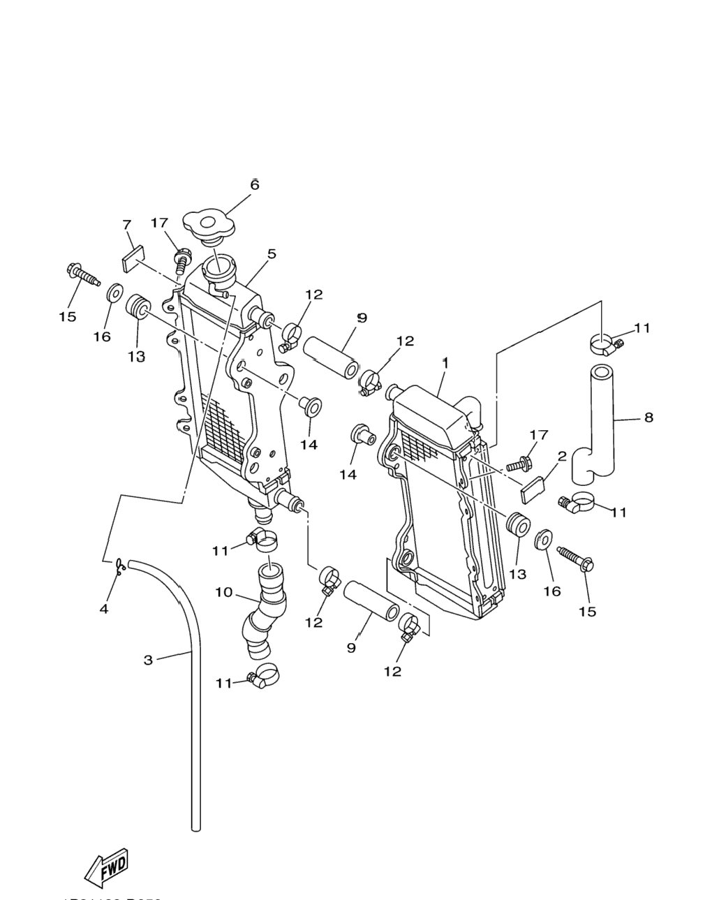 Radiator Hose