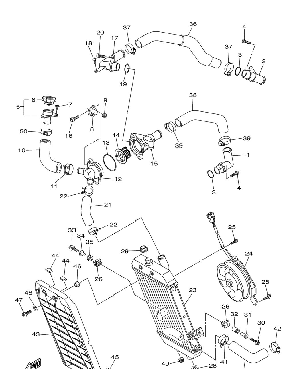 Radiator Hose