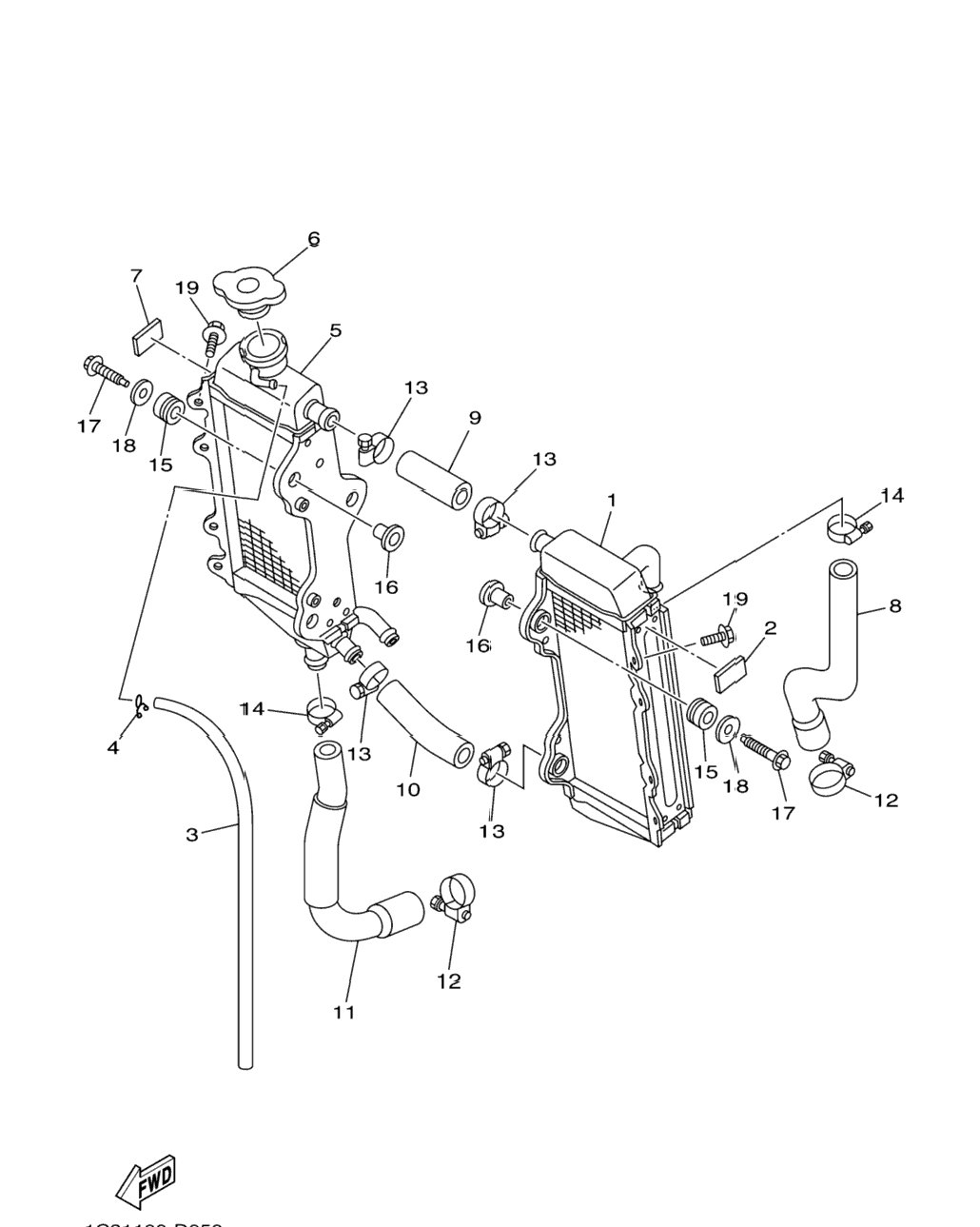 Radiator Hose