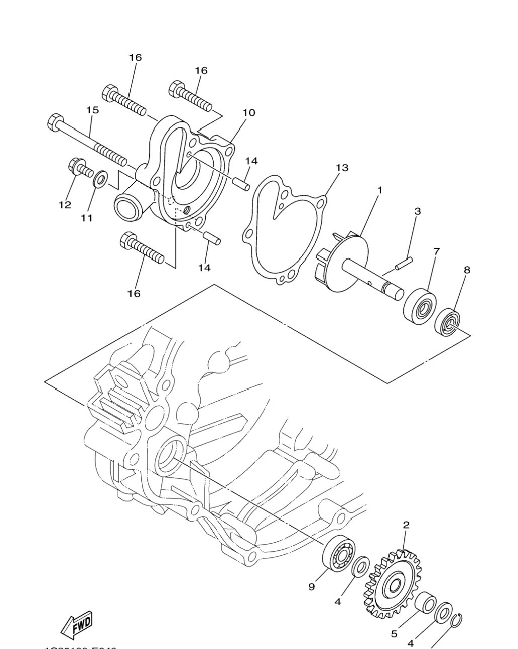 Water Pump