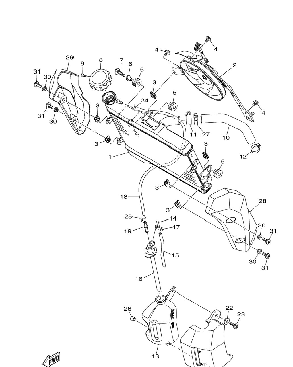 Radiator Hose