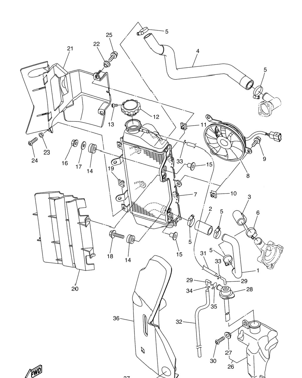 Radiator Hose