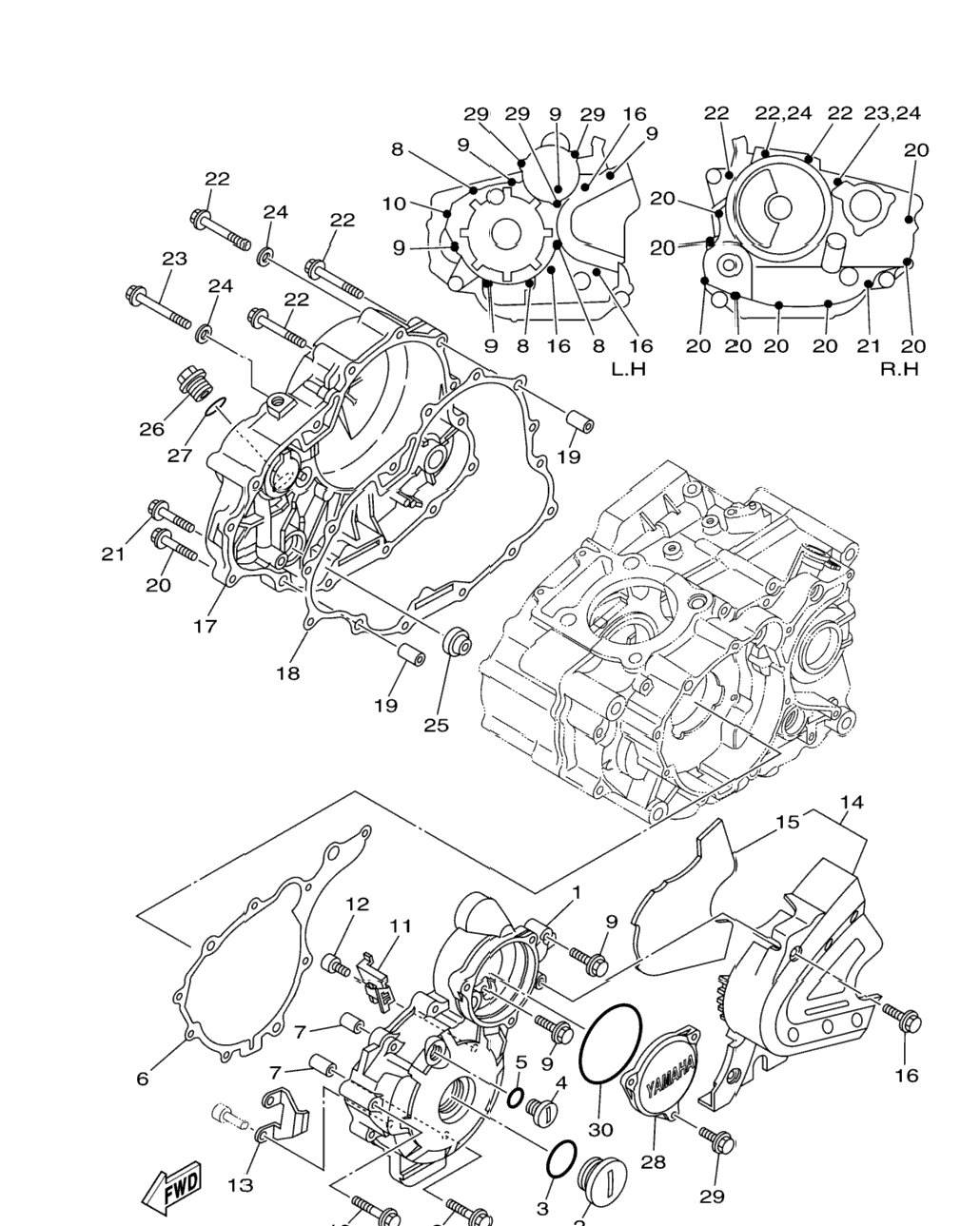 Crankcase Cover 1