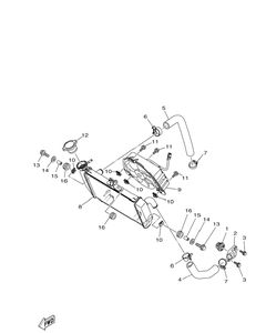Radiator Hose