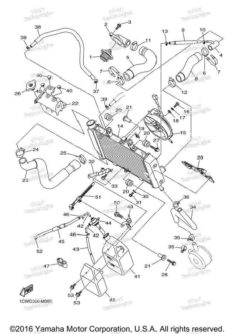 Radiator Hose