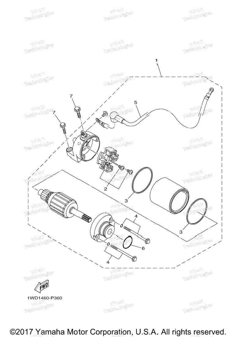 Starting Motor