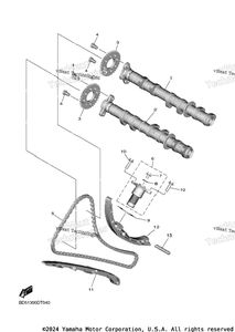 Camshaft & Chain