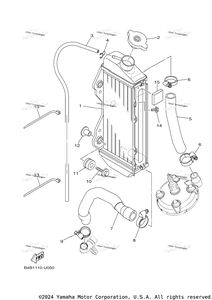 Radiator Hose