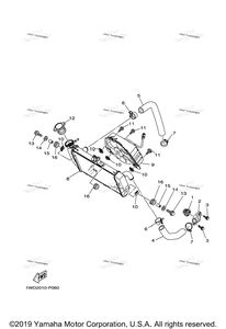 Radiator & Hose