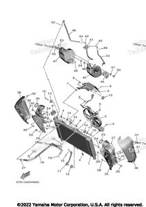 Radiator Hose