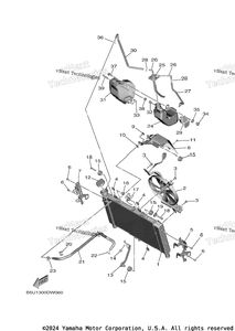 Radiator Hose