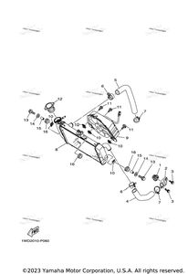 Radiator & Hose