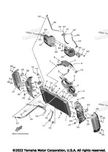 Radiator & Hose
