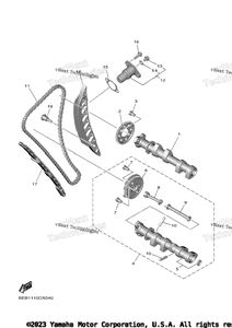 Camshaft & Chain