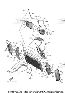 Radiator & Hose