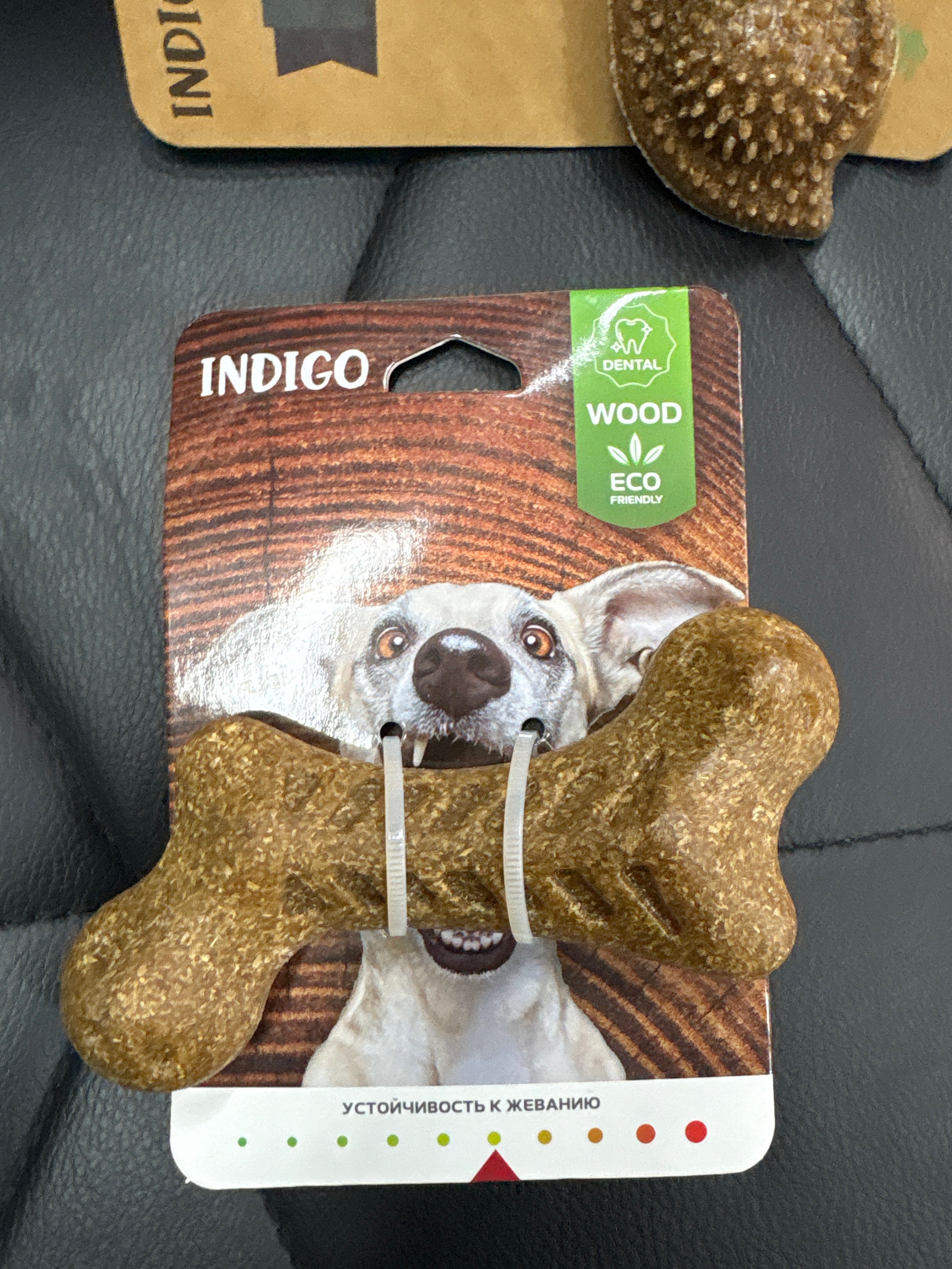 Фото из поста собаки Генри породы Английский спрингер-спаниель в социальной сети Собакин сайт