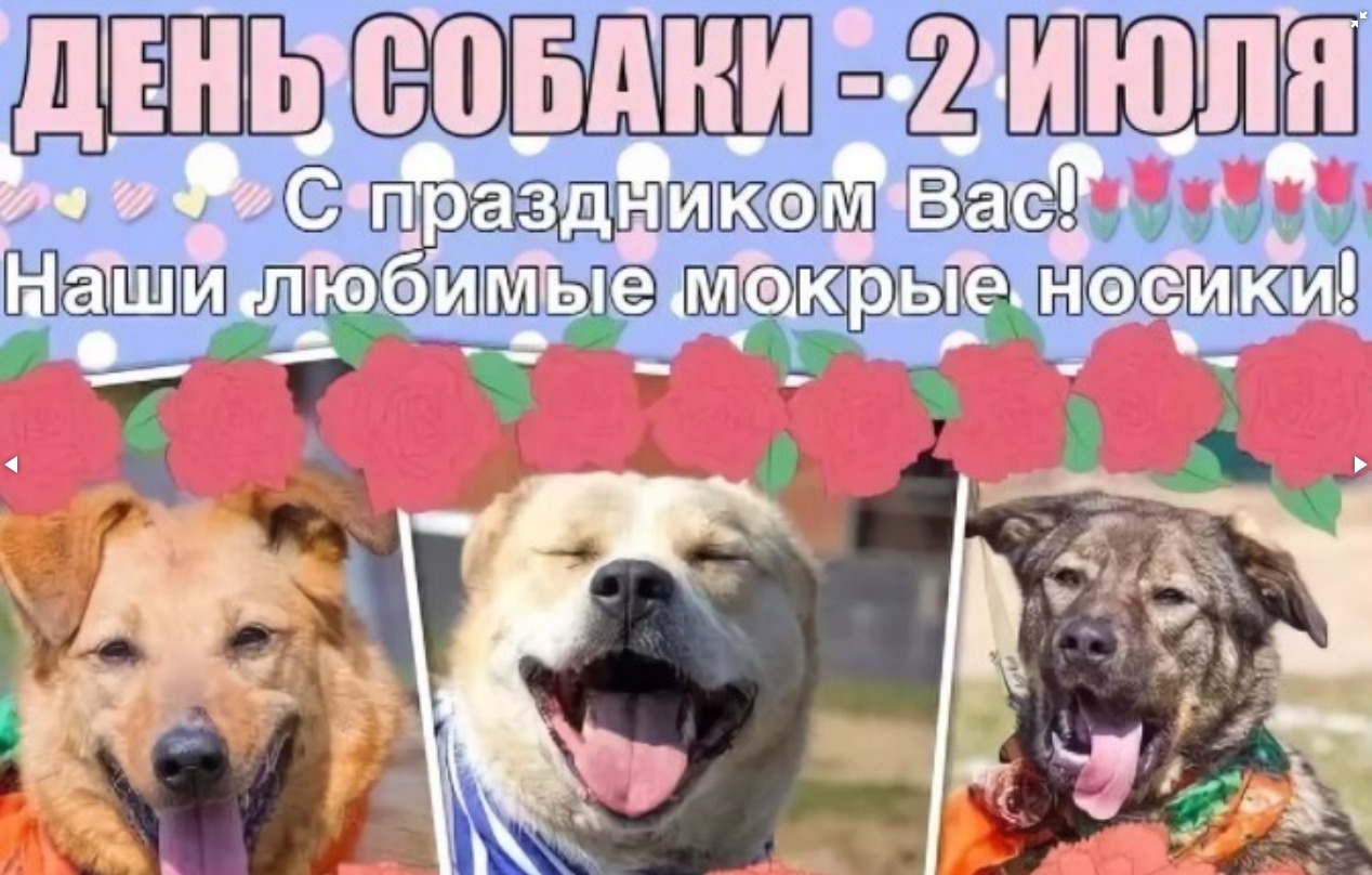 Изображение к новости