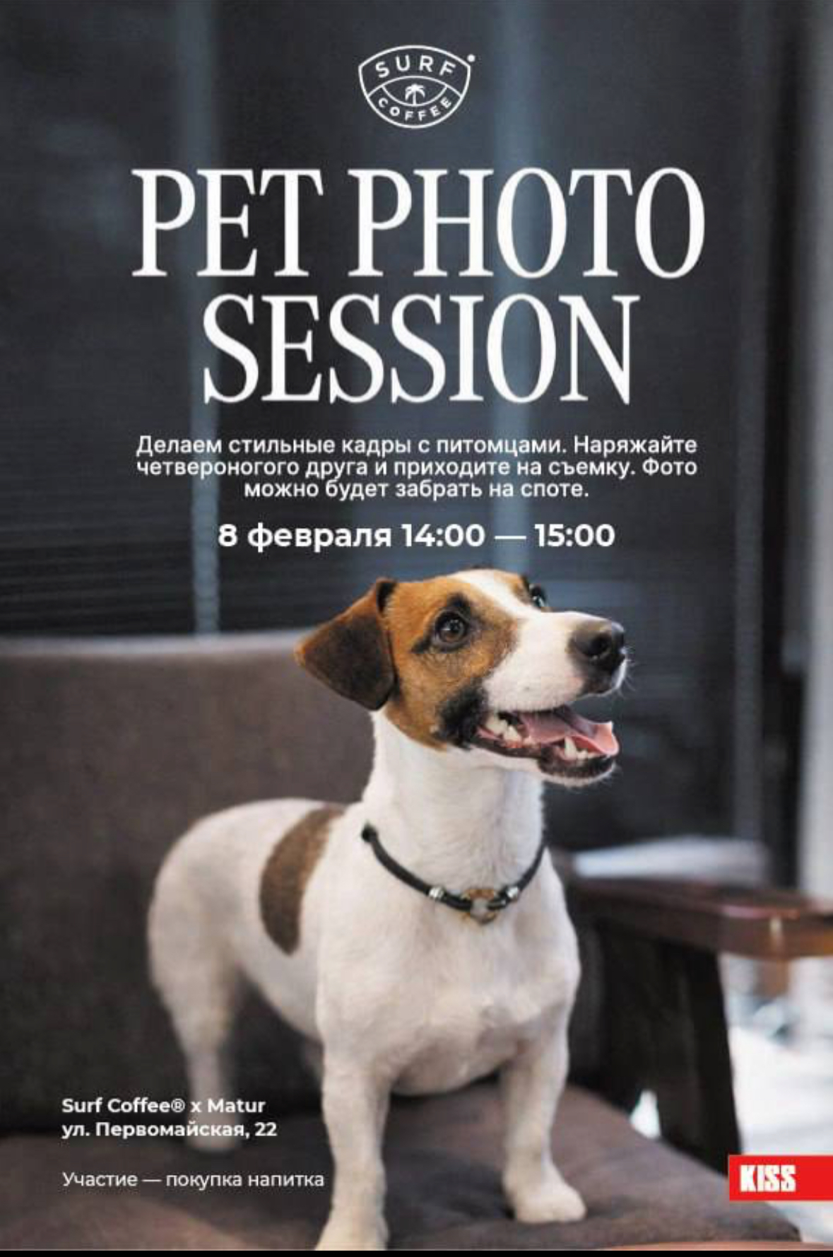 Фото из поста собаки Генри породы Английский спрингер-спаниель в социальной сети Собакин сайт