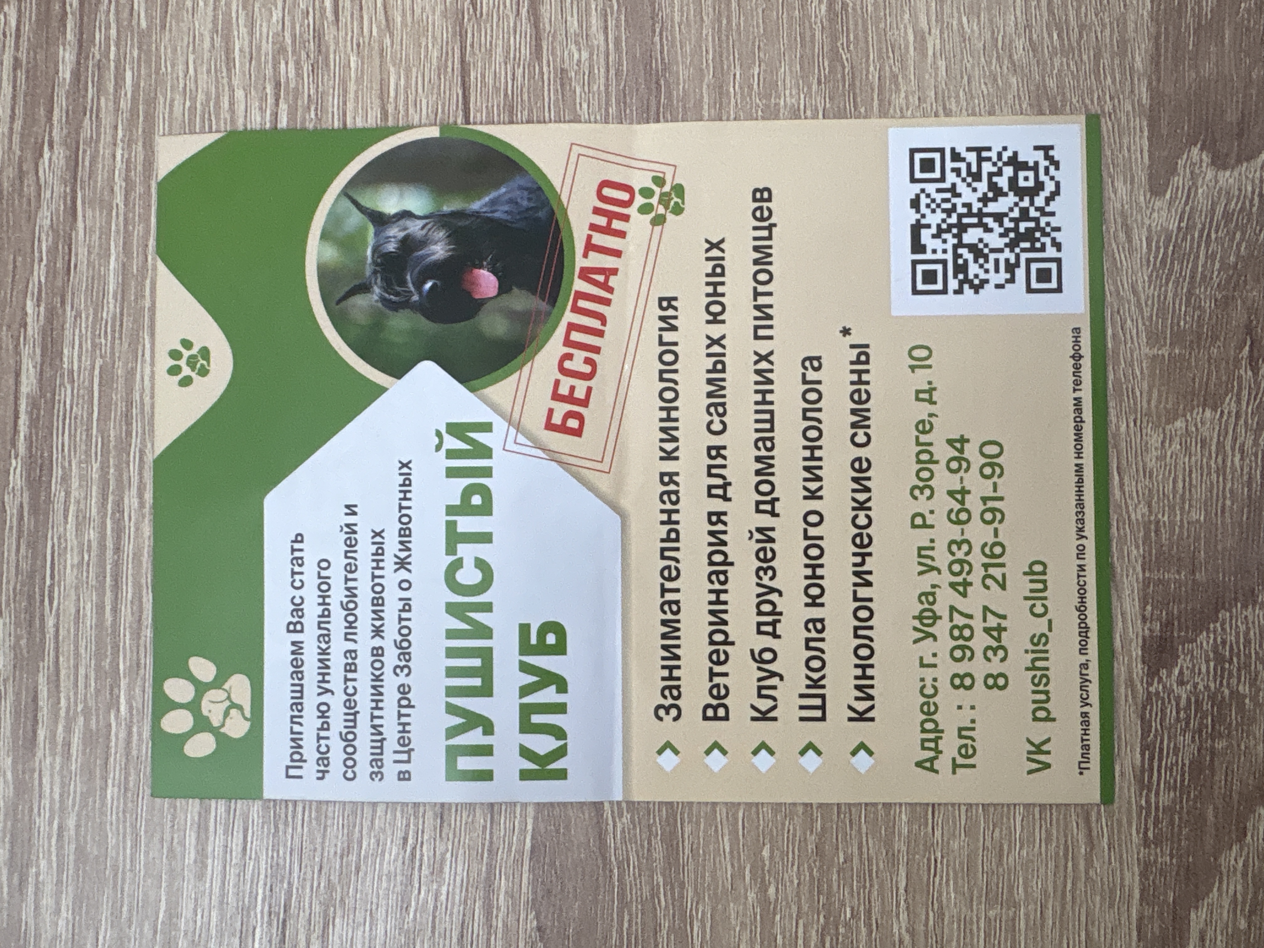 Фото из поста собаки Генри породы Английский спрингер-спаниель в социальной сети Собакин сайт