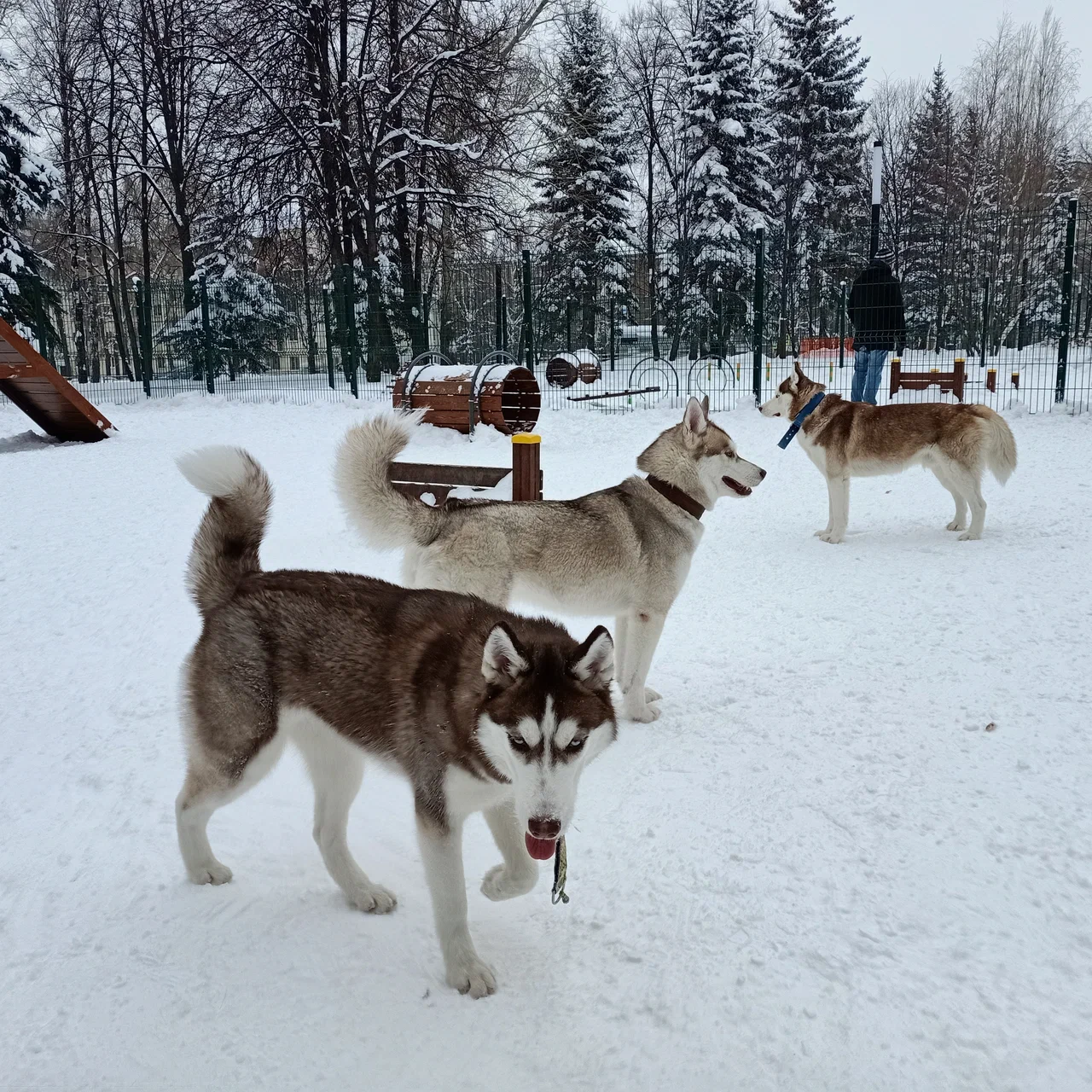 Первомайский парк культуры и отдыха