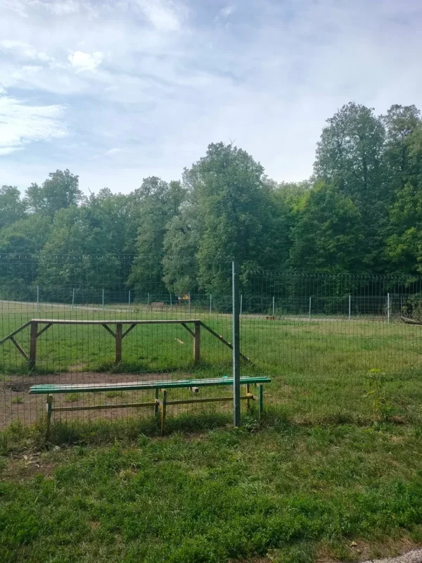 Тропа здоровья «Уфимские липы»