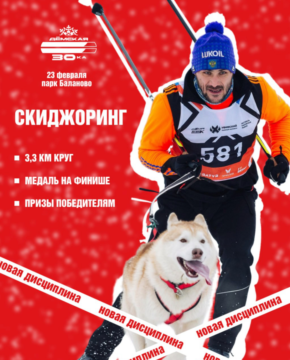 Фото из поста собаки Генри породы Английский спрингер-спаниель в социальной сети Собакин сайт