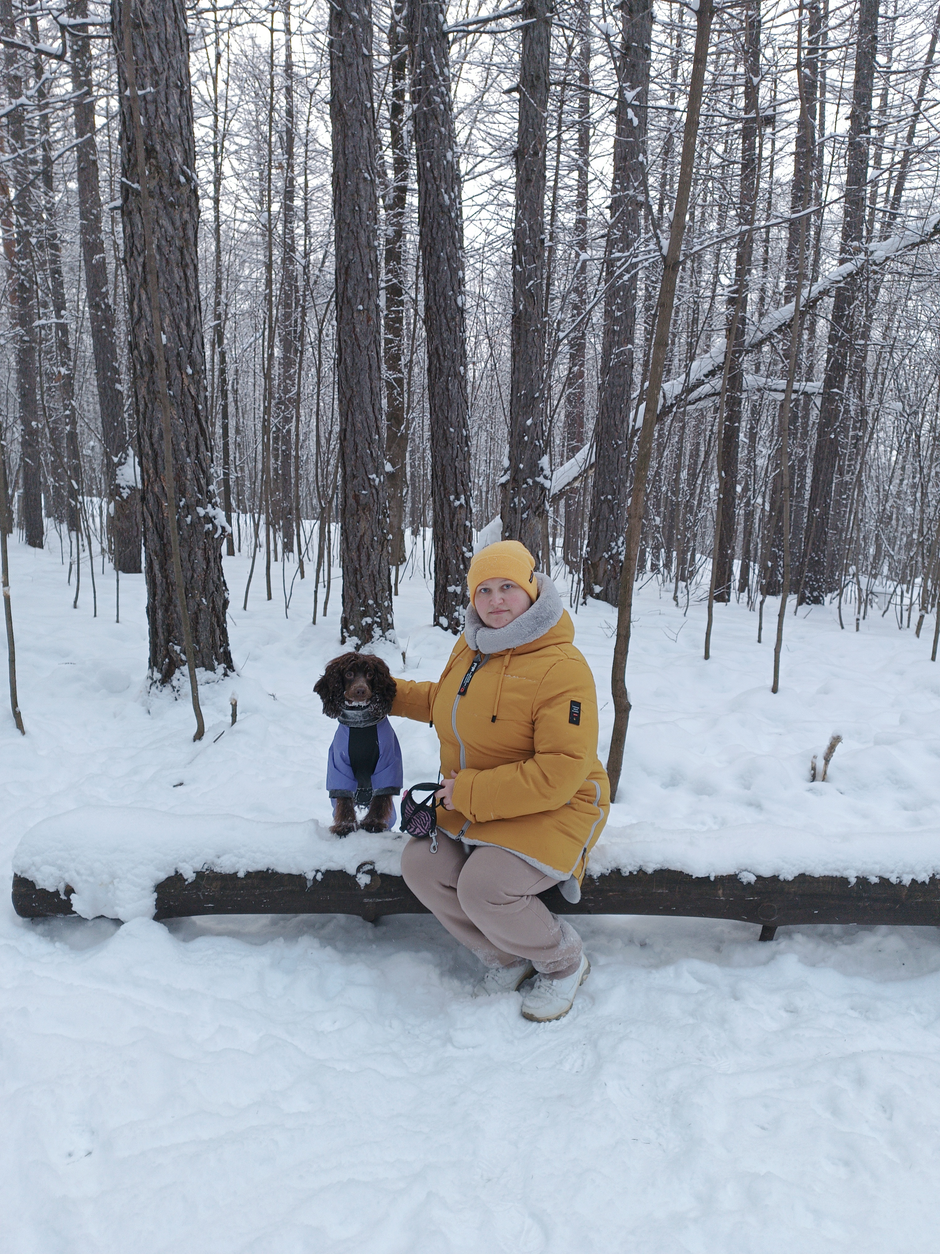 Фото из поста собаки Элис породы Спаниель в социальной сети Собакин сайт
