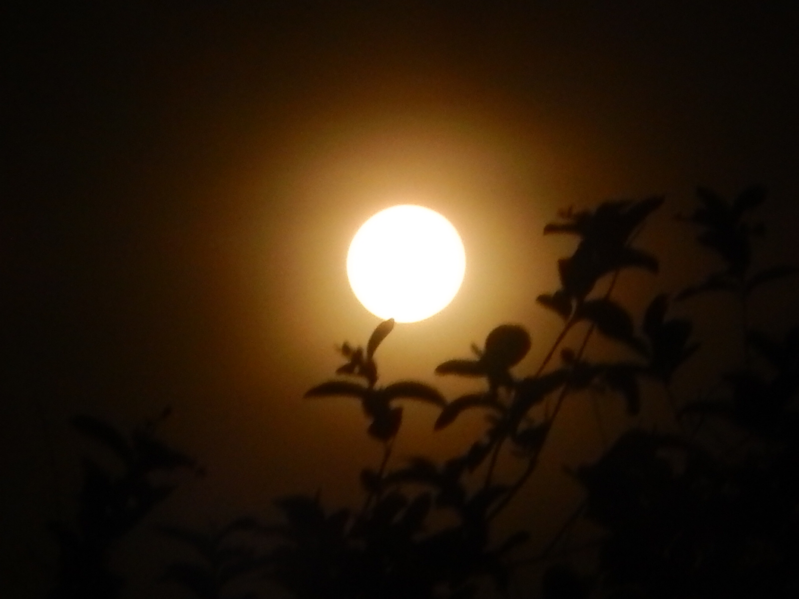 full moon dark sky