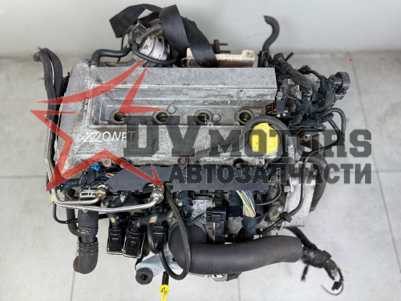 Фото DV Motors 36